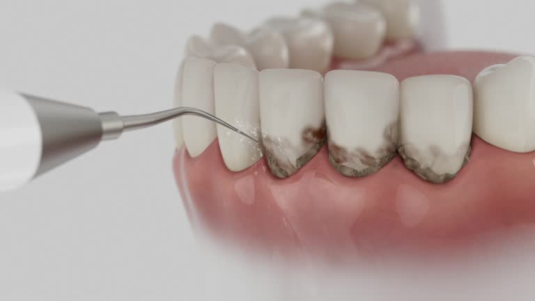 Reliable Dental contractor in Navarre, OH by Dentist Open Now